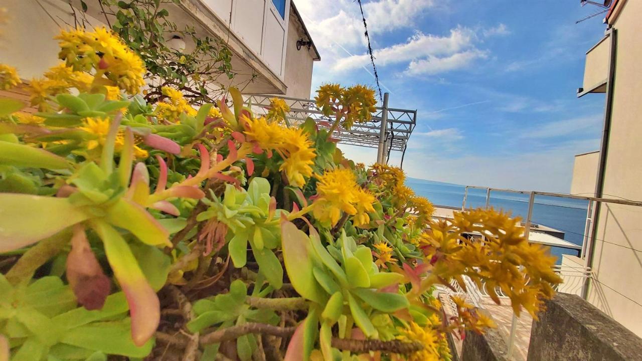 Apartment Cedo Omiš Exterior foto